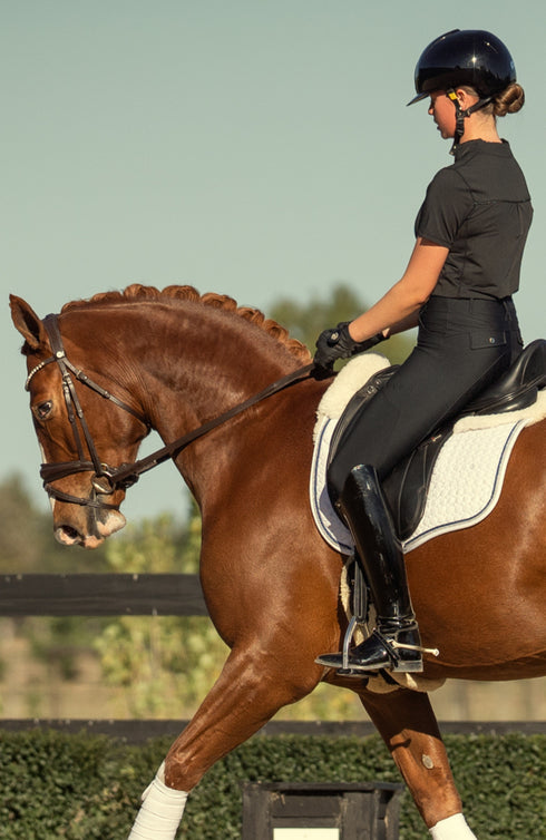 BARE Sculpt Hybrid Riding Breeches - Black
